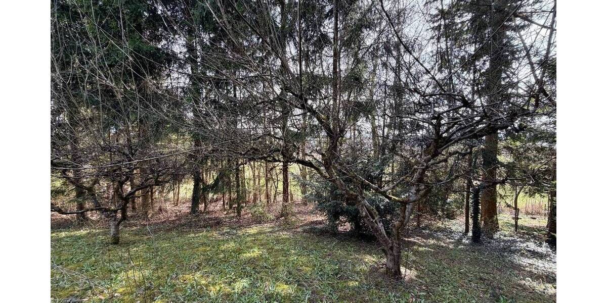 Grundstück Erbach - 1.576.000&euro; | Angebot:26082710