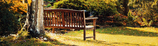 Friedrichsau Park in Ulm