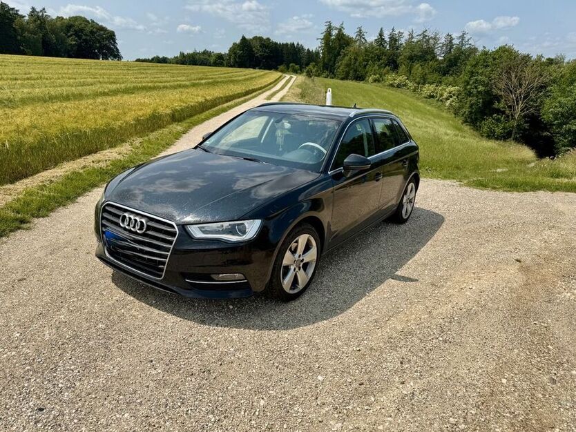 A3