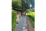 Einfamilienhaus Erbach - 580.000&euro; | Angebot:26391095