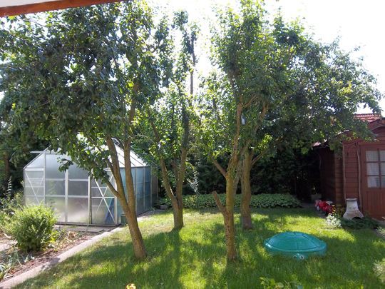 Provisionsfrei* ZFH: 5 ZiWo + 4 ZiWo, 3 Ebenen, Grund 802 m² in 89173 Lonsee zu verkaufen. - Zweifamilienhaus Lonsee | Angebot:26781319