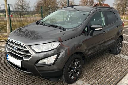 Ford EcoSport 69.950 km 11.100 &euro; Rettenbach 89364