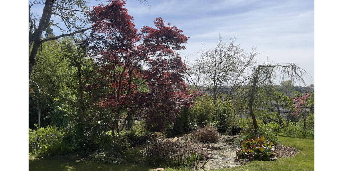 Einfamilienhaus Günzburg Reisensburg - 7 Zimmer, 315 m&sup2;, 899.000&euro; | Angebot:26731542