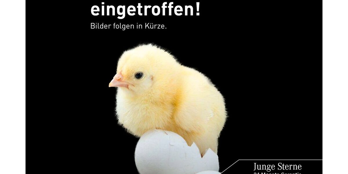 Mercedes-Benz GLC 300 112.882 km 33.970 &euro; Neu-Ulm 89231