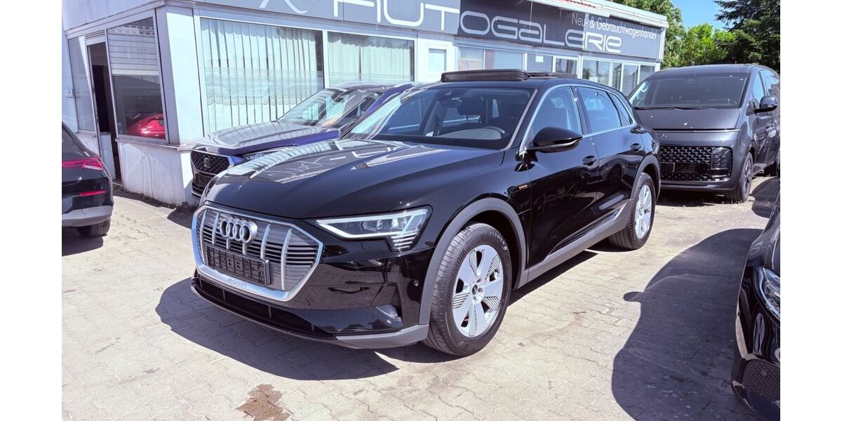 Audi e-tron 91.000 km 22.990 &euro; Ulm-Jungingen 89081
