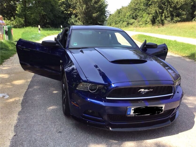 Mustang