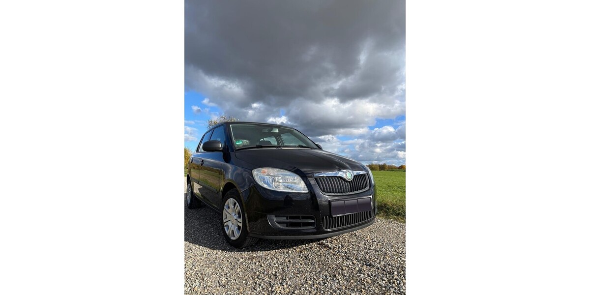 Skoda Fabia 118.449 km 2.999 € Laupheim 88471