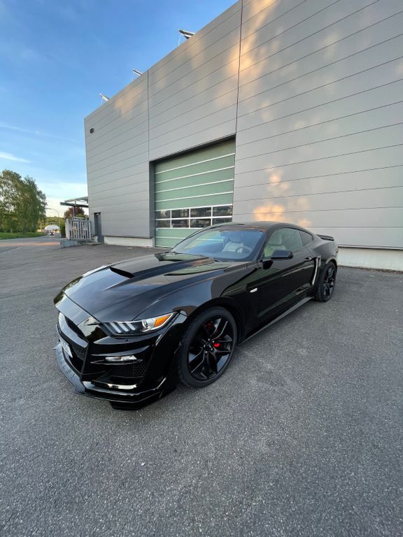 Mustang
