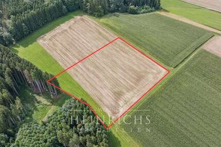 Grundstück in Roggenburg 66.400 € 9219 m² zimmer