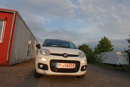 Fiat Panda 153.000 km 7.990 &euro; Neu-Ulm 89231
