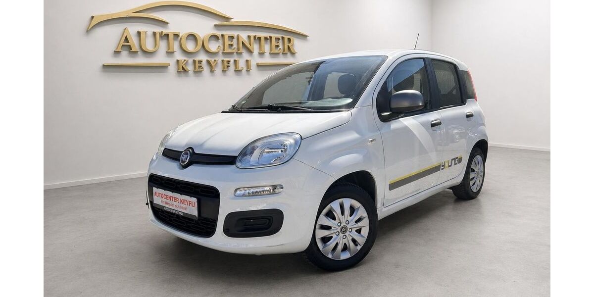 Fiat Panda 60.000 km 6.980 &euro; Blaustein 89134