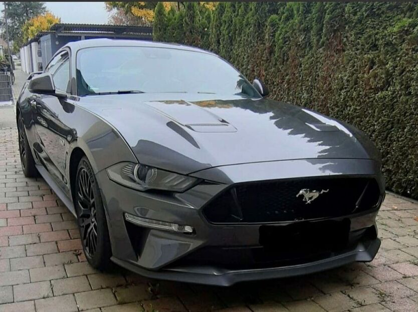 Mustang