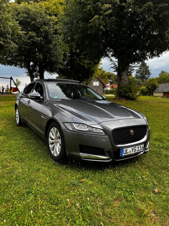 XF