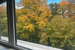Gewerbeobjekt Ulm Obertalfingen - 469&euro; | Angebot:26623526