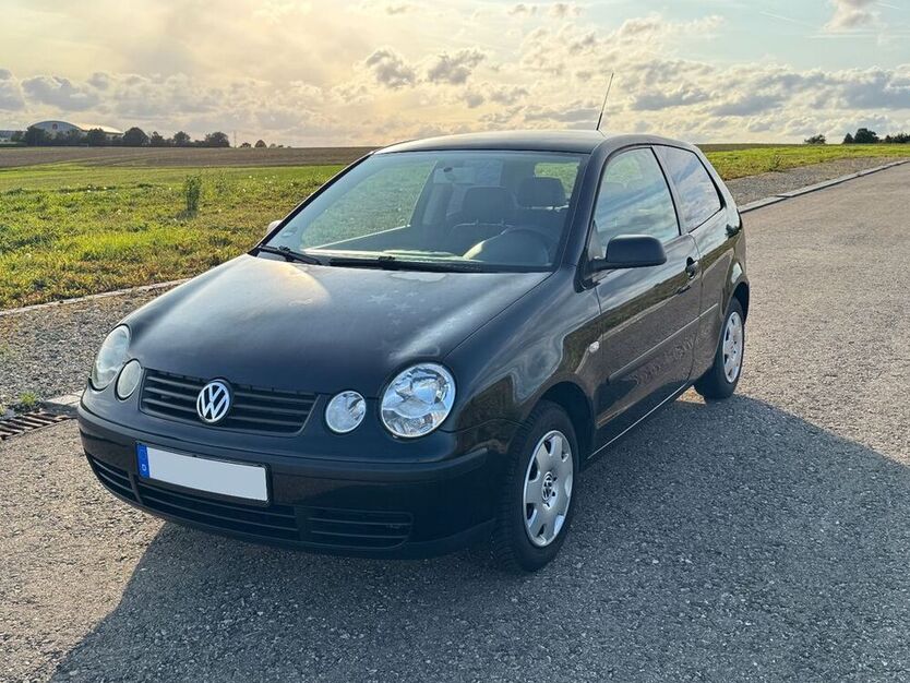 Polo
