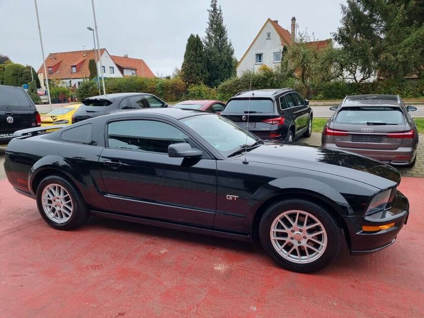 Mustang