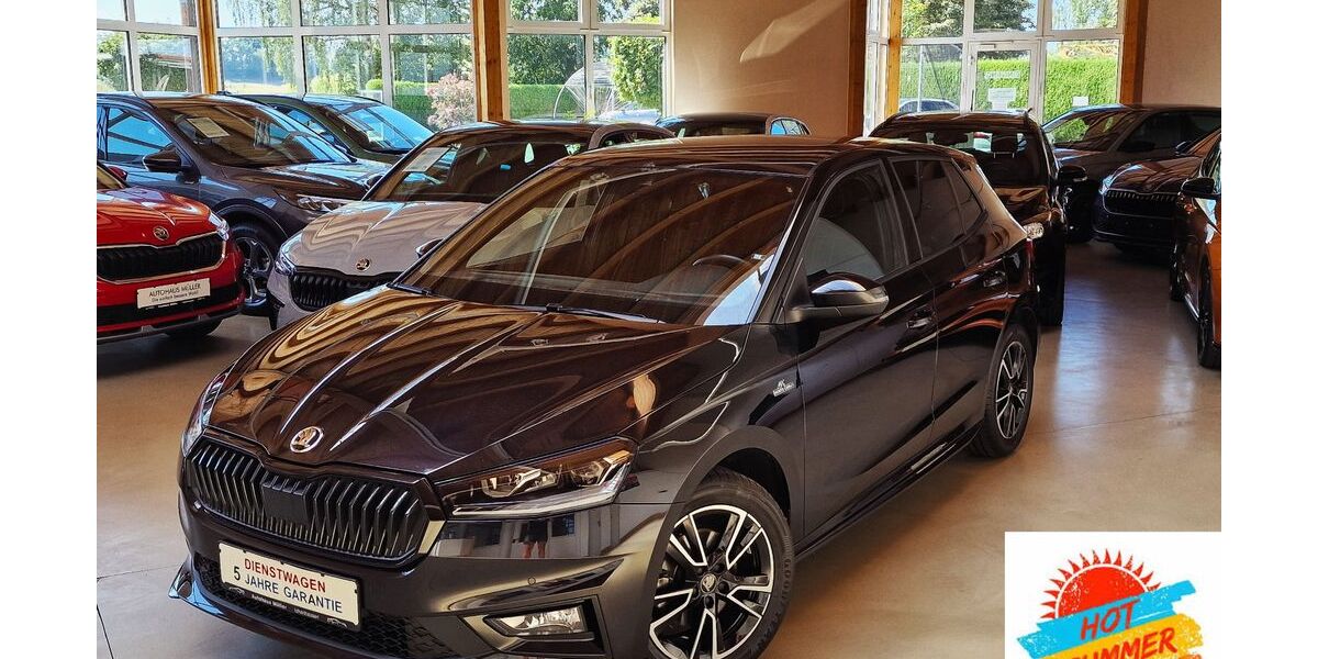 Skoda Fabia 20.000 km 20.490 &euro; Ichenhausen 89335