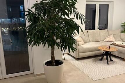 3- Zimmerwohnung in Ulm Stadtmitte 3 zimmer