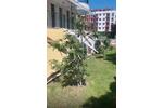 Apartment in Sweti Wlas Bulgarien