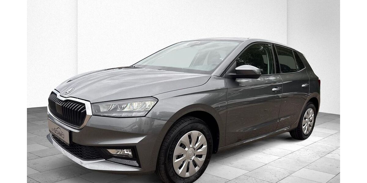 Skoda Fabia 6.421 km 16.580 &euro; Geislingen 73312