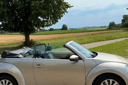 VW Beetle