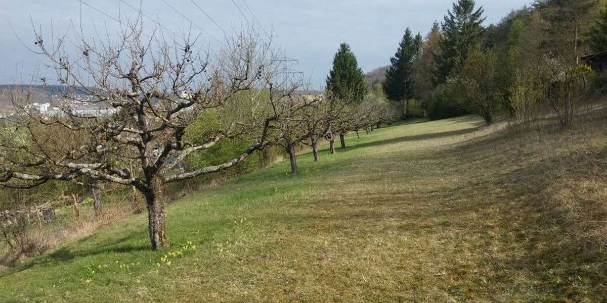 Grundstück Herbrechtingen - 60.000&euro; | Angebot:15870854