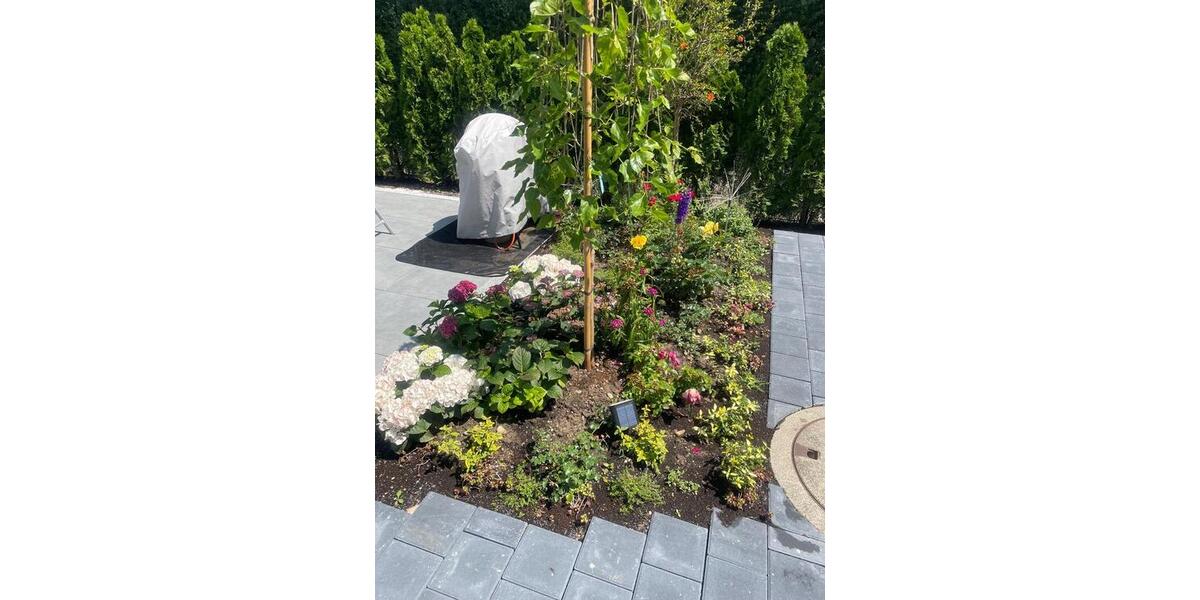 Doppelhaushälfte Senden - 6 Zimmer, 107 m&sup2;, 540.000&euro; | Angebot:25841199