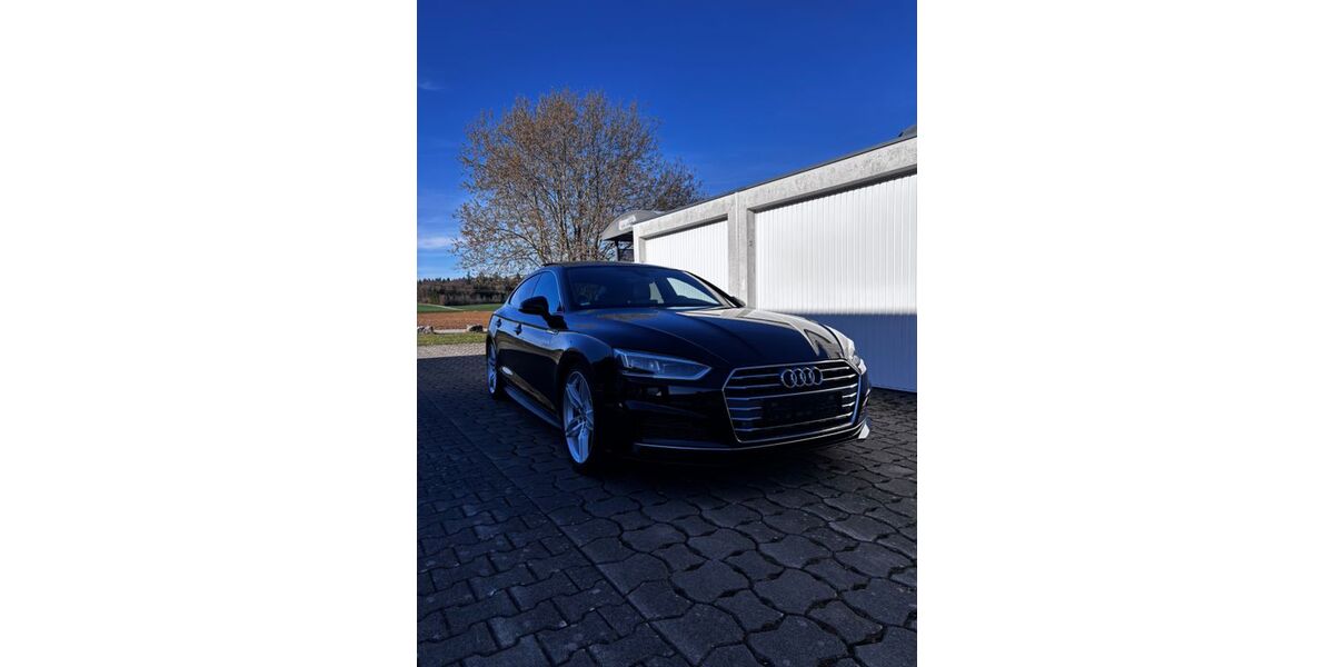 Audi A5 169.500 km 19.999 &euro; Laichingen 89150