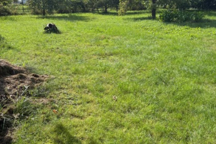 Ihr Traum vom Eigenheim beginnt hier - Baugrundstück in idyllischer Lage von Leipheim zimmer