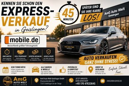 Seat Ibiza 134.500 km 7.999 &euro; Geislingen an der Steige 73312