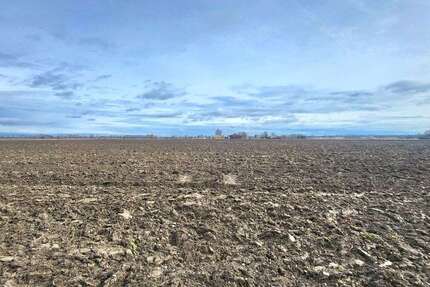 Grundstück Leipheim / Riedheim Riedheim - 1.000.000&euro; | Angebot:25928422