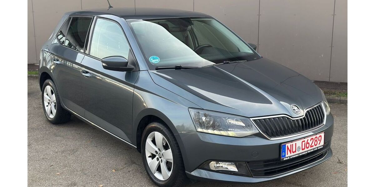 Skoda Fabia 200.000 km 8.500 € Neu-Ulm 89231