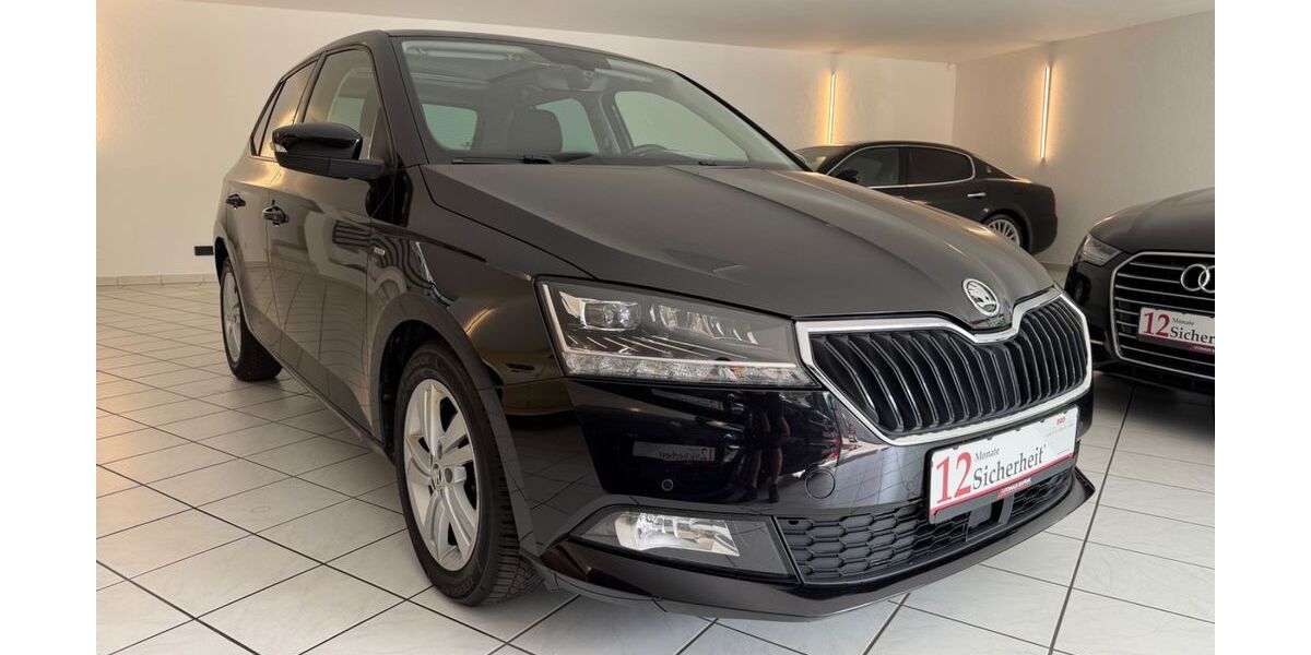 Skoda Fabia 124.000 km 10.490 &euro; Elchingen 89275