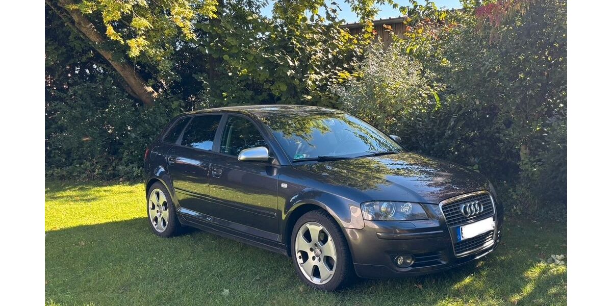 Audi A3 266.000 km 3.300 &euro; Ehingen 89584