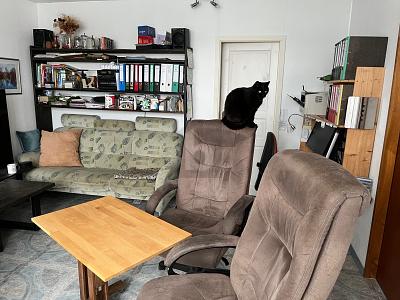 ATTRAKTIVE KAPITALANLAGE 2 zimmer