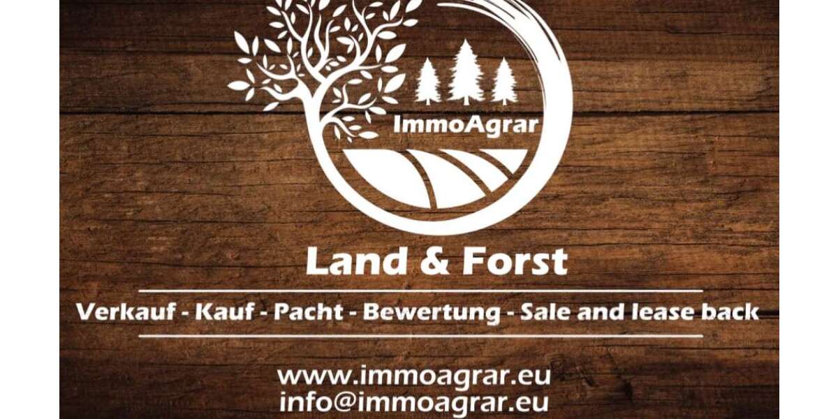 Grundstück in Roggenburg 100.000 € 20000 m² zimmer