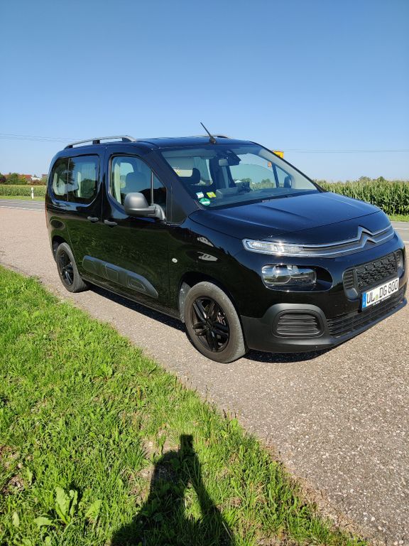 Berlingo