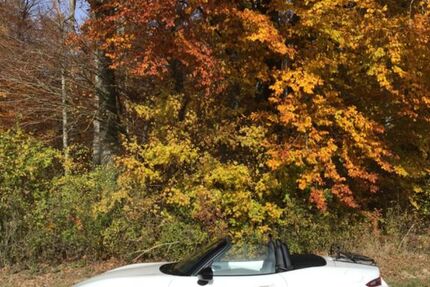 Mazda MX-5 27.300 km 18.300 &euro; Ehingen 89584