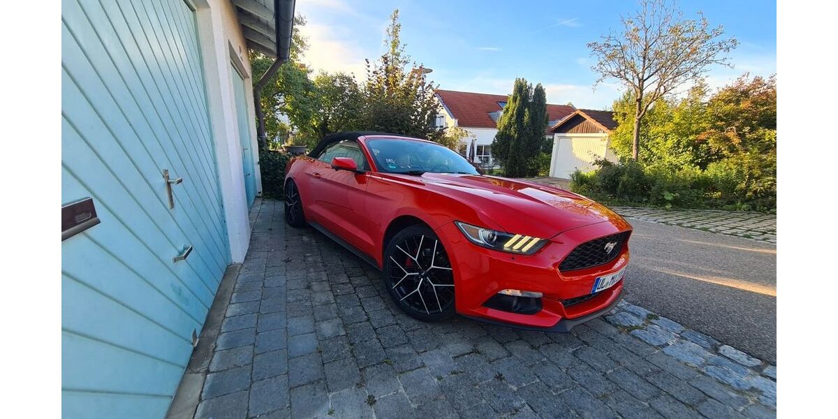 Ford Mustang 176.922 km 23.000 &euro; Ulm, Donau 89079