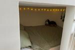 Neuwertiges 3-Zimmer-Tiny-House