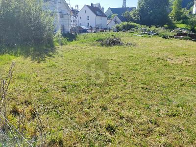 RUHIG GELEGEN MIT FREIER BAUGESTALTUNG - Grundstück Balzheim | Angebot:26945015