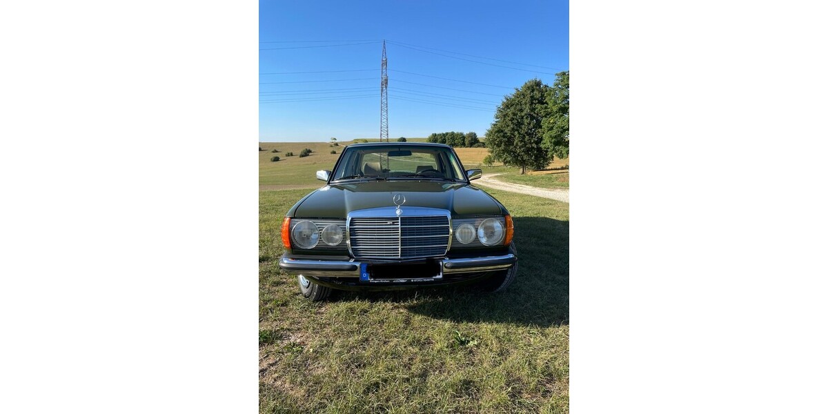 Mercedes-Benz E 230 205.850 km 9.600 &euro; Ulm 89073