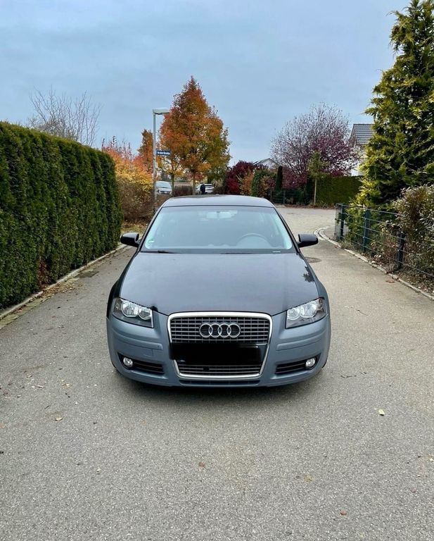A3