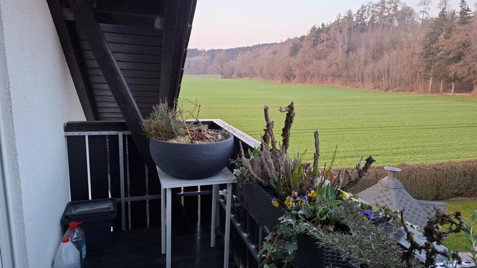 Etagenwohnung Altenstadt - 1 Zimmer, 38 m&sup2;, 460&euro; | Angebot:26444264