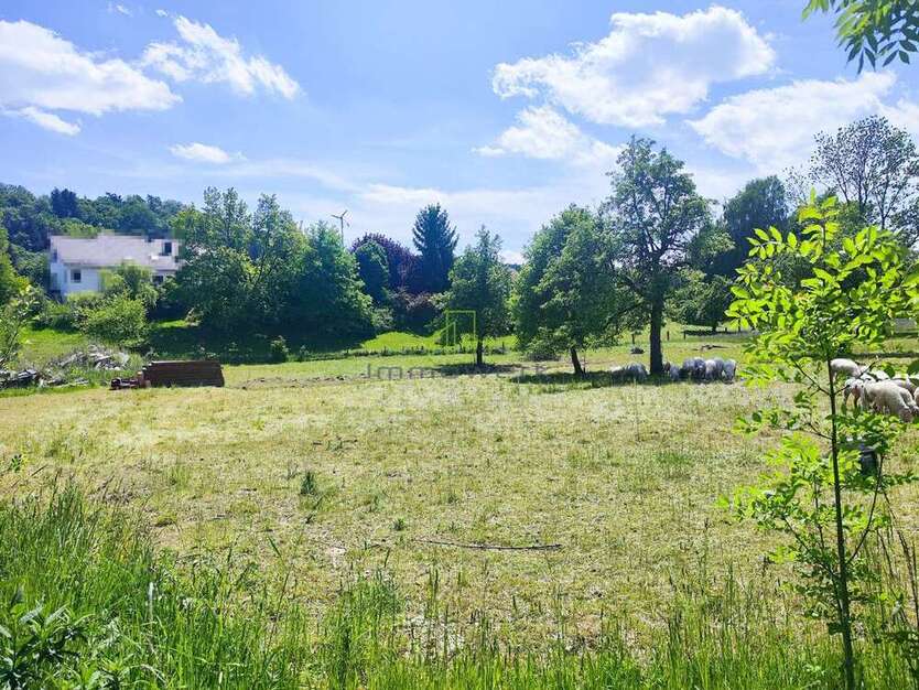 Grundstück zu verkaufen in Balzheim 219.000 € 730 m²