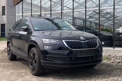 Skoda Karoq 127.600 km 16.860 &euro; Neu-Ulm 89231