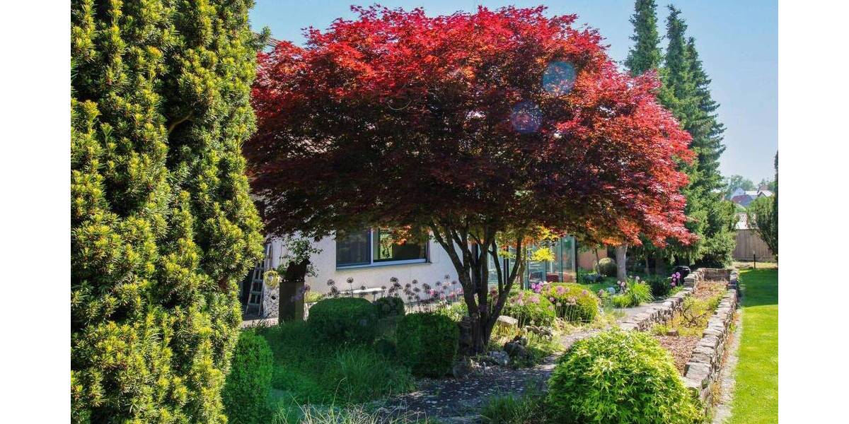 Einfamilienhaus Illerkirchberg Oberkirchberg - 5 Zimmer, 288 m&sup2;, 819.000&euro; | Angebot:26686664