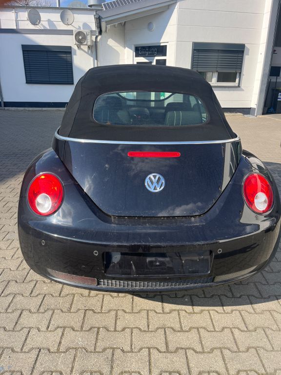 Beetle