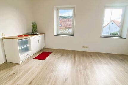 Schönes 1 Zimmer Appartment mit neuem eigenem Bad u Küchenz. 1 zimmer