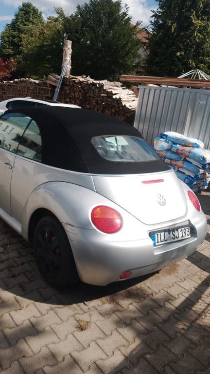 Beetle